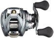 Photo4: Daiwa STEEZ A TW 1016H Right handle Bait Casting reel from Japan New! (4)